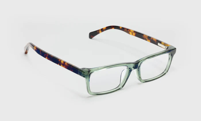 NUMBER CRUNCHER READERS - GREEN SHINY WITH TORTOISE DESIGN