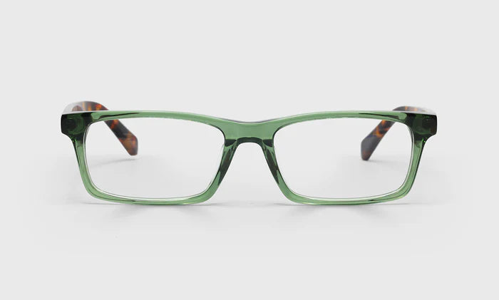 NUMBER CRUNCHER READERS - GREEN SHINY WITH TORTOISE DESIGN