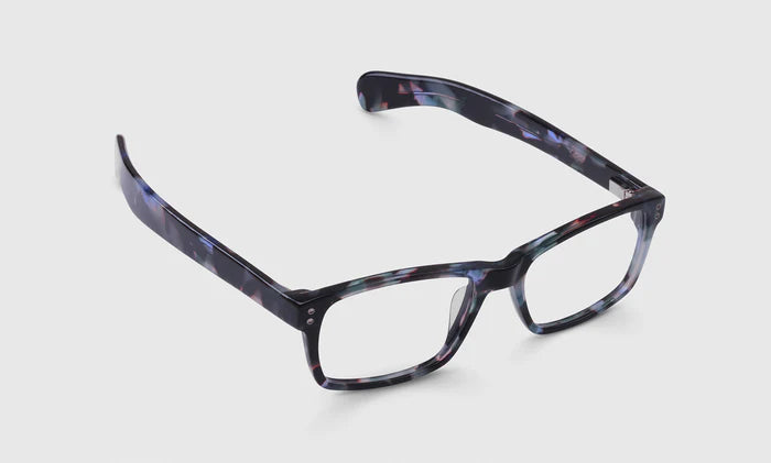 ROY D READERS - BLUEBERRY TORTOISE