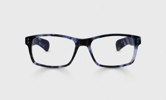 ROY D READERS - BLUEBERRY TORTOISE
