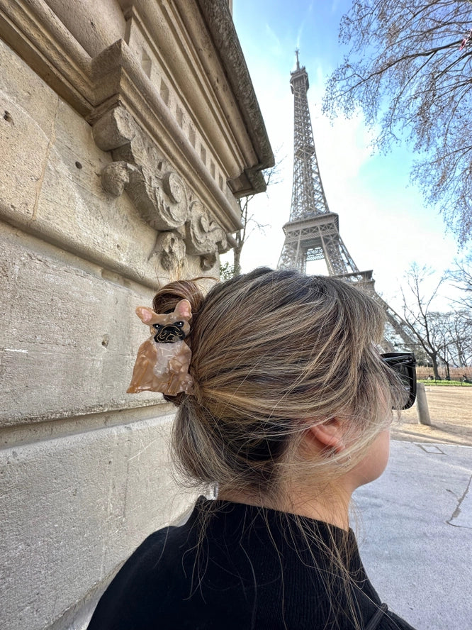 HAND PAINTED BROWN FRENCHIE DOG HAIR CLIP