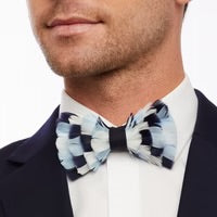 SUMMERALL FEATHER BOW TIE