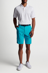 SHACKLEFORD IF YOU LIKE PIÑA COLADAS PERFORMANCE HYBRID SHORT - SURFBOARD