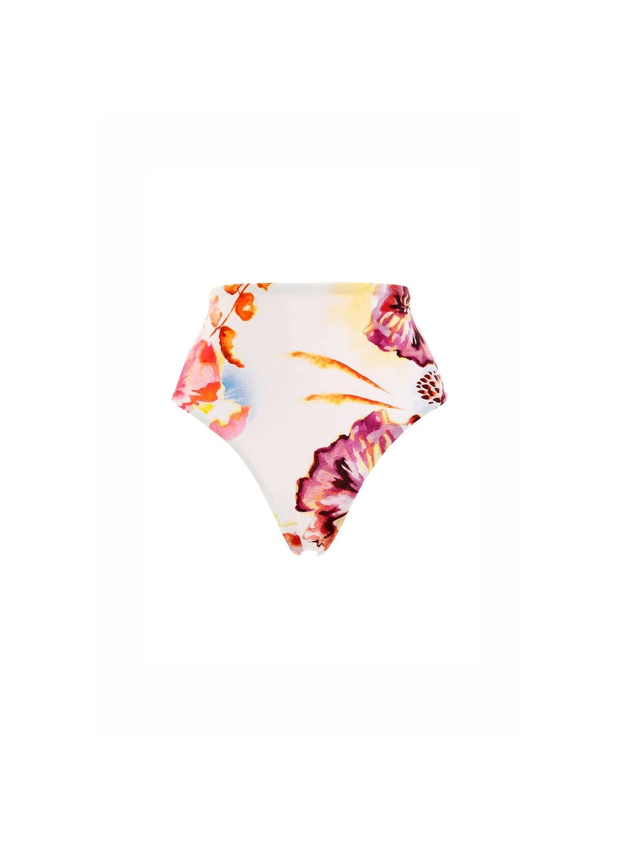 ALICIA OAZZE MULTICOLOR SWIM BOTTOM