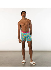 DAYTRIPPER BOXER BRIEF - BLUE POP DOG